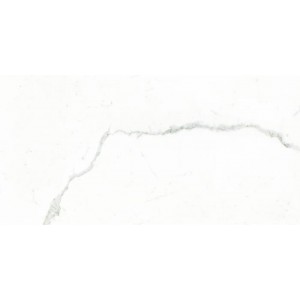 Gạch ốp tường Trường Thịnh WALL TILES TT36090